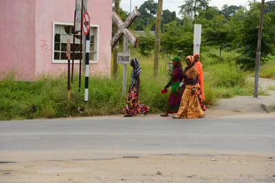 DSC_8769 (Large).JPG